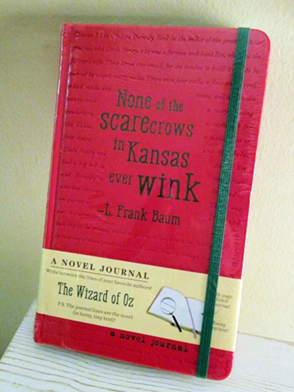 Wizard of Oz Novel Journal Tiny Text Forms Writing Lines For You Wicked NEW OOP